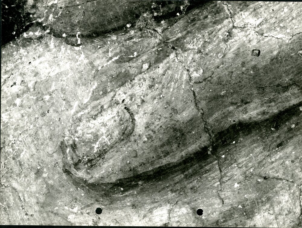 Eraclito e Democrito, part. dito anulare fig. a sinistra, restauro ultimato  - APBB_CTRS_83_2_P_069.tif