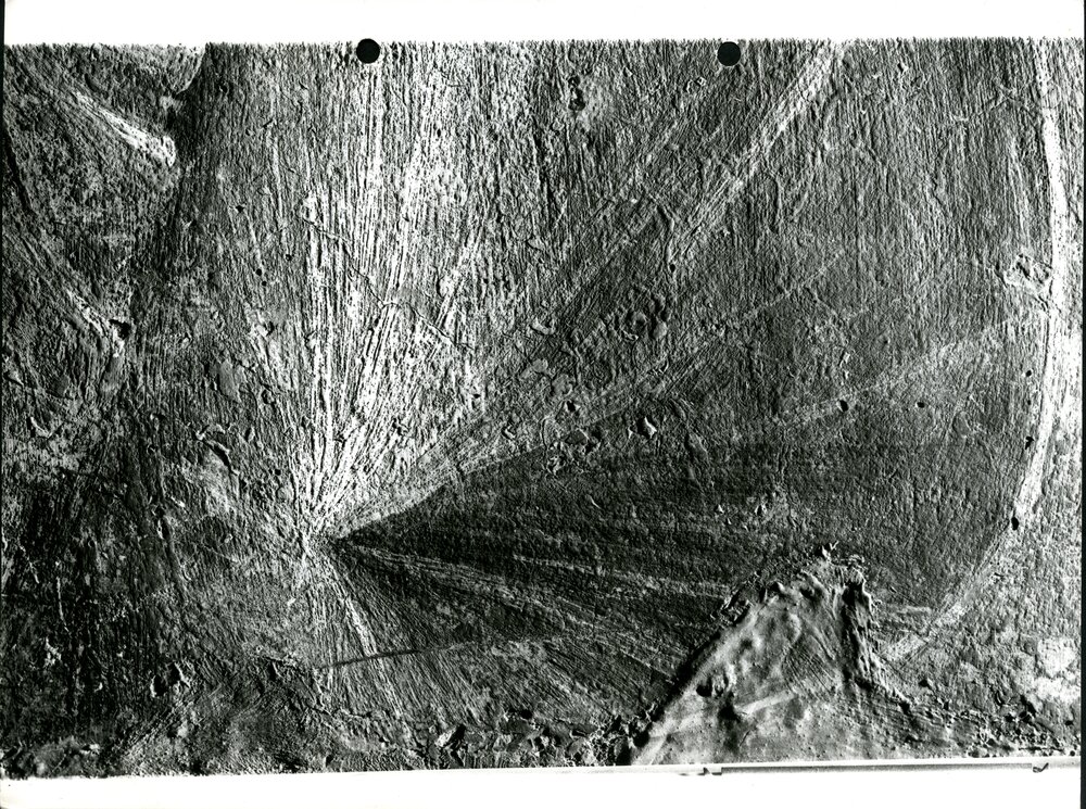 Uomo d'arme, particolare dello scudo a luce radente  - APBB_CTRS_83_2_P_030.tif