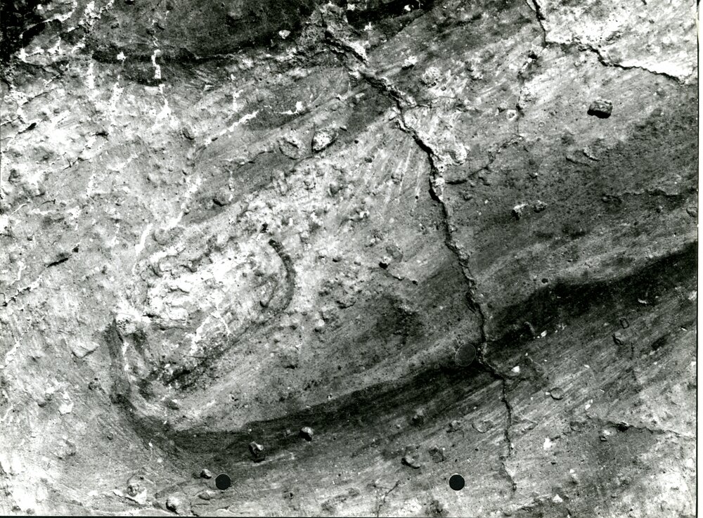 Eraclito e Democrito, particolare macro  dito anulare fig. a sinistra - Eraclito e Democrito, part. dito anulare fig. a sinistra, restauro ultimato  - APBB_CTRS_83_2_P_078.tif