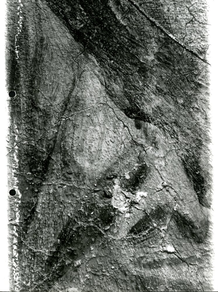 Eraclito e Democrito particolare della manica, intonaco, sali - Eraclito e Democrito part., prima del restauro - APBB_CTRS_83_2_P_011.tif