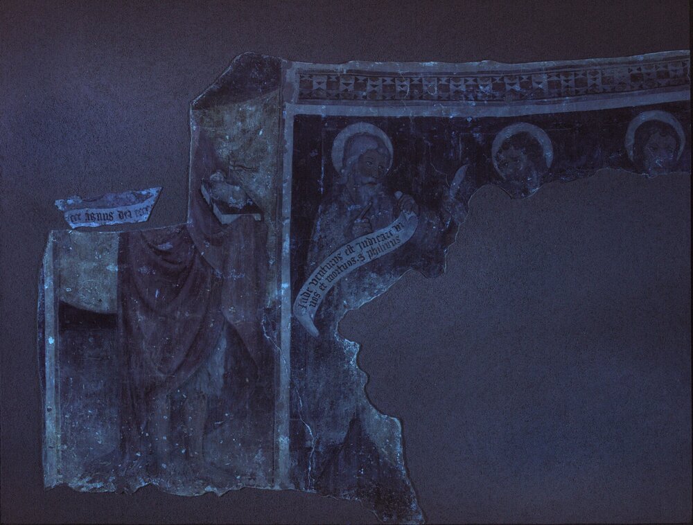 Torino, Galleria Sabauda, G. Turcotto, Apostoli - analisi UV