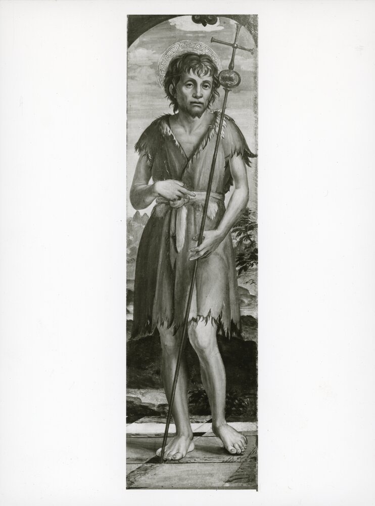 Milano, Museo Bagatti Valsecchi, Bernardino Zenale, S. Francesco e S. Giovanni Battista, Dipinti su tavola
